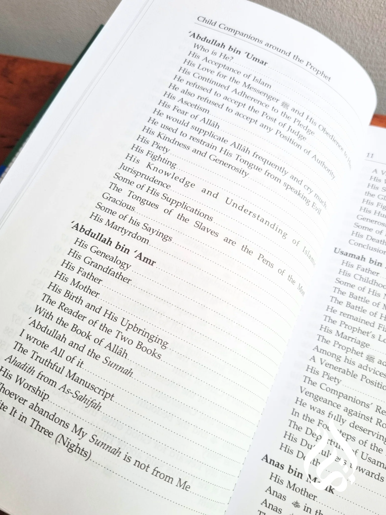 Child Companions around the Prophet by Darussalam - Image 6