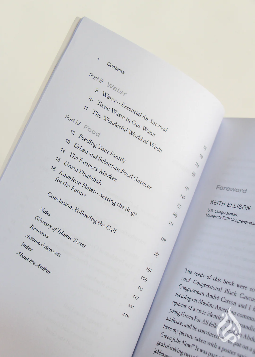 Green Deen - What Islam Teaches About Protecting The Planet by Ibrahim Abdul Matin - Image 3