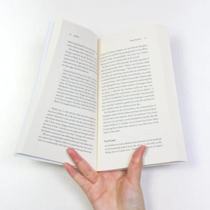 Green Deen - What Islam Teaches About Protecting The Planet by Ibrahim Abdul Matin - Image 5