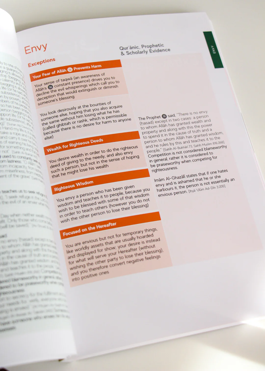 Handbook Series - Gift Edition - Image 7