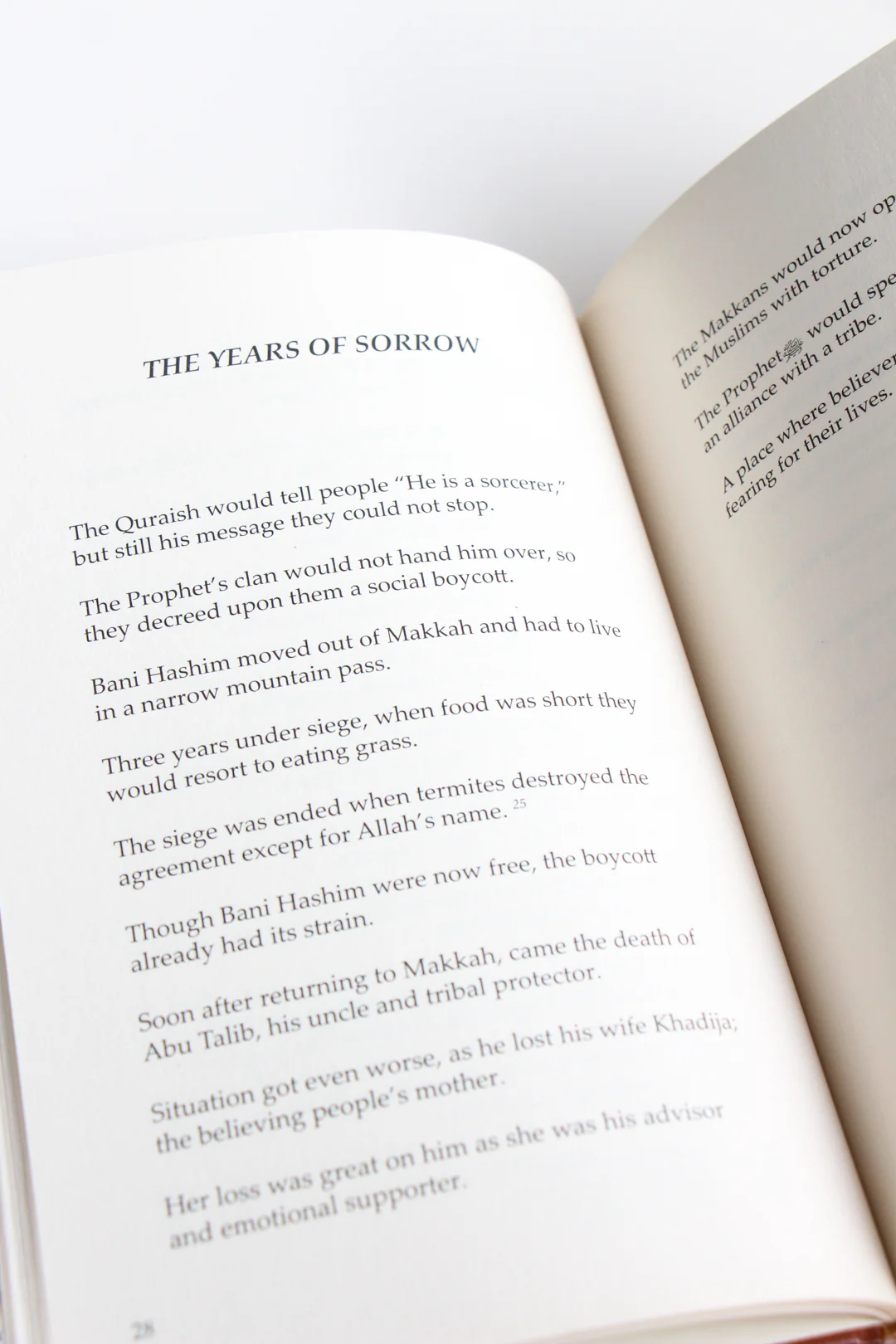 Life of Muhammad the Sublime by Moin Uddin Khan - Image 4