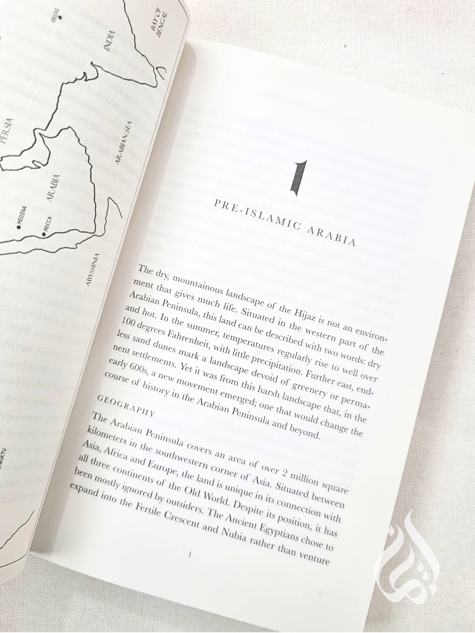 Lost Islamic History: Reclaiming Muslim Civilisation from the Past - Image 3