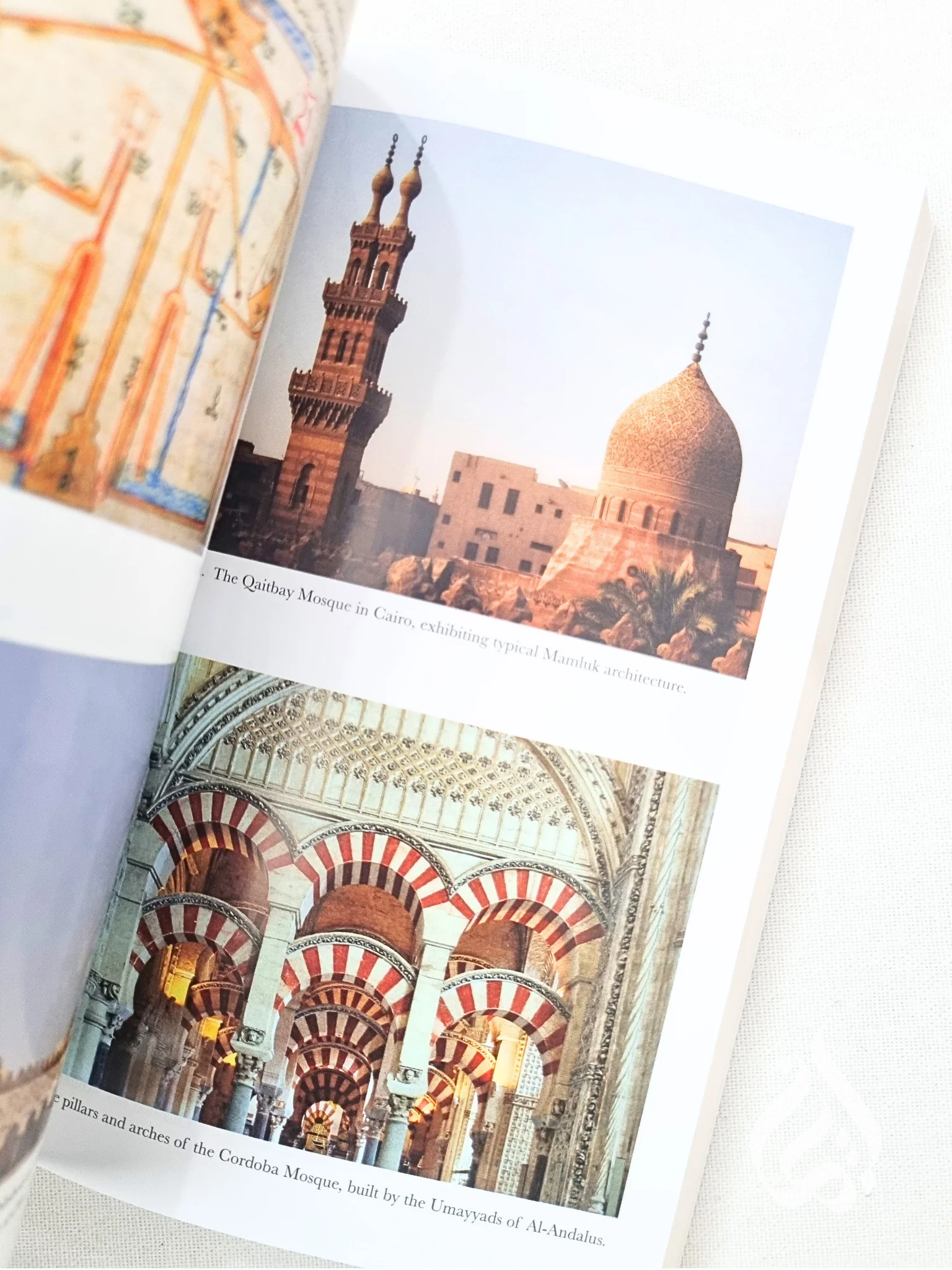 Lost Islamic History: Reclaiming Muslim Civilisation from the Past - Image 6