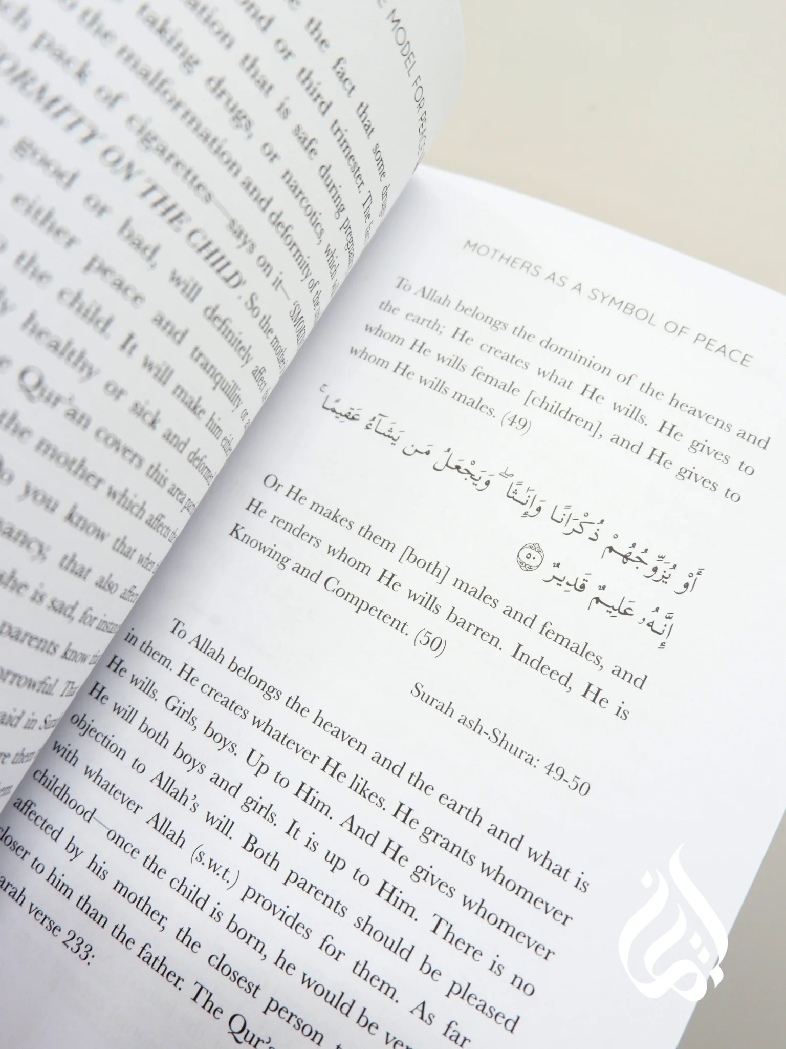 Mothers: A Role Model for Peace - Image 5