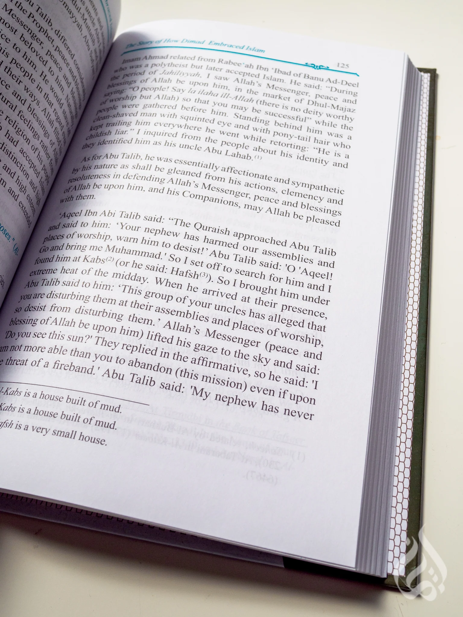 The Valley Came Alive – Life of the Last Messenger - Image 3