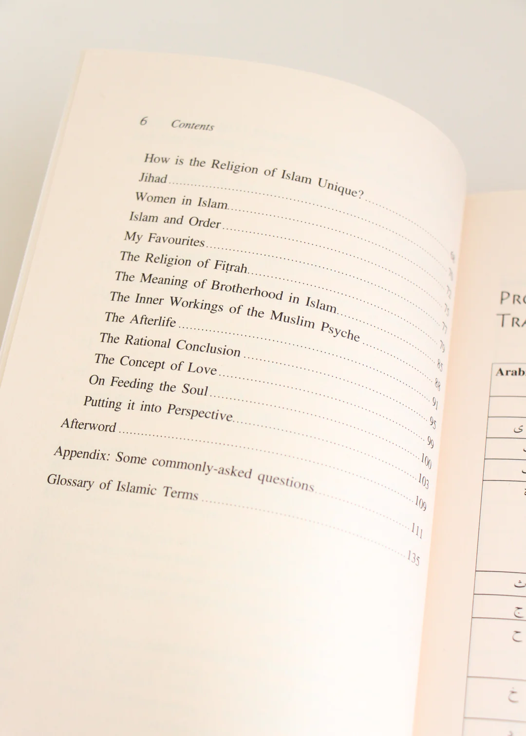 Why Islam? by K Sherman - Image 3